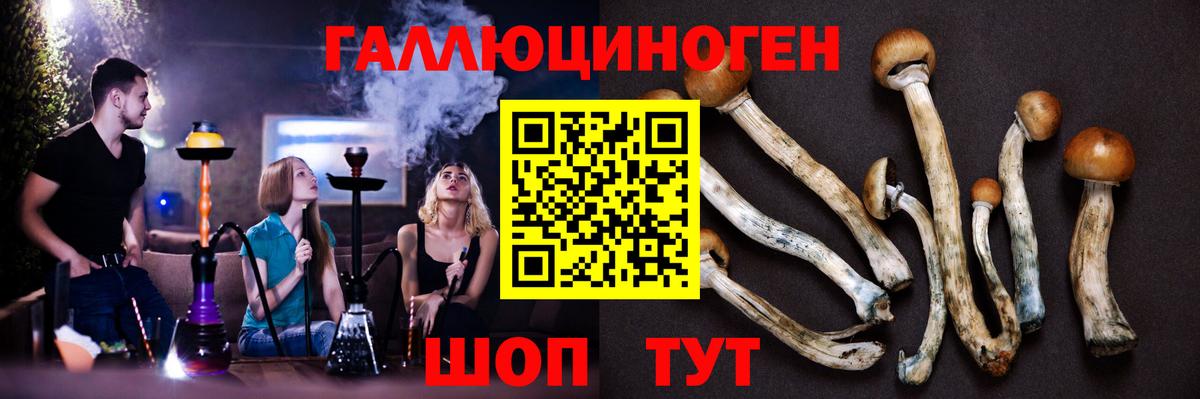 Псилоцибиновые грибы Psilocybe  Вход с VPN  Норильск 